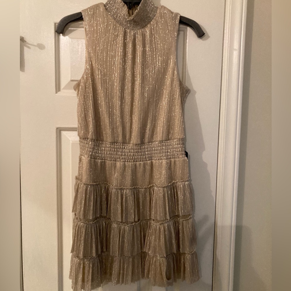 Express Gold Shimmer Dress